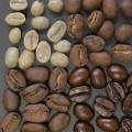 Exploring the Flavor Notes of Different Coffee Roasts