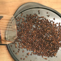 How to Roast Coffee Beans at Home: A Step-by-Step Guide